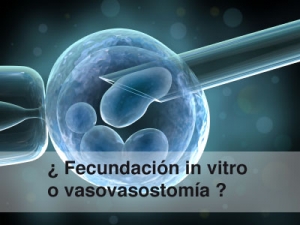 vasovasostomía o fecundación in vitro